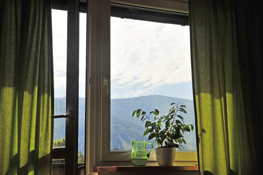 Pokoje Na Skalicy Ustroń Quarto foto